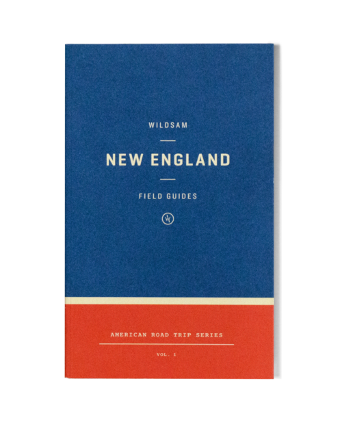 New England Field Guide