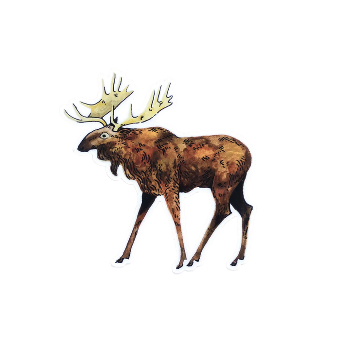 Moose Vinyl Sticker