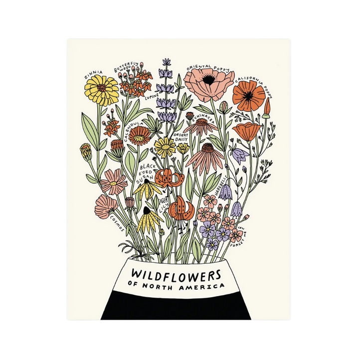 Wildflowers of North America Botanical Print