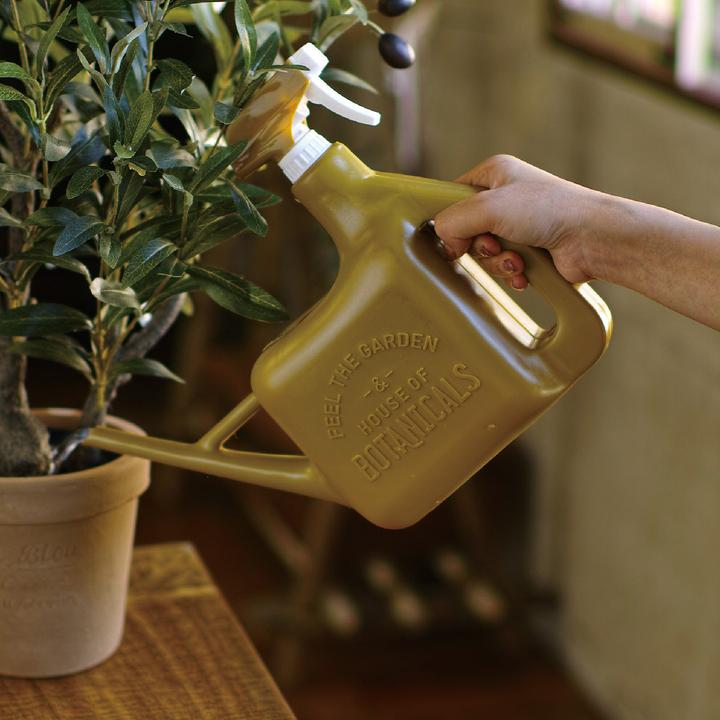 Spray Sprinkler Watering Can in Olive