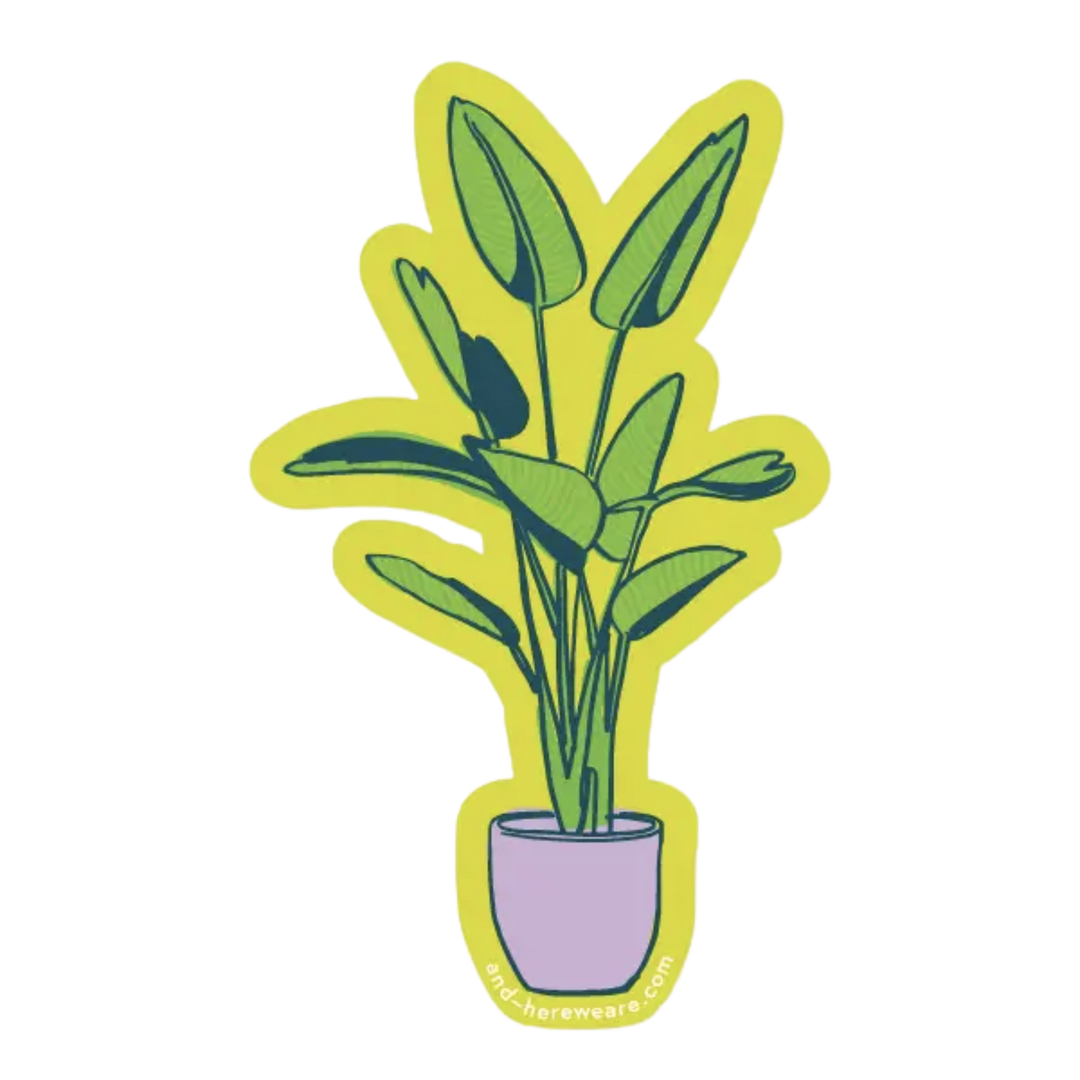 Bird of Paradise Sticker