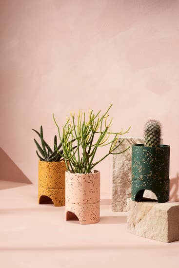 Archie Planter