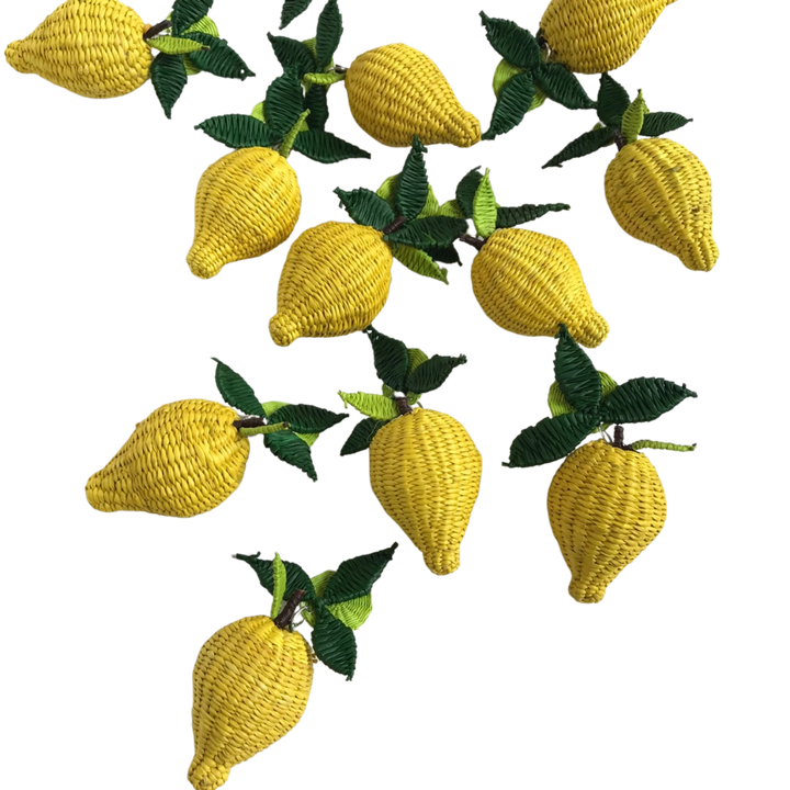 Iraca Woven Fruta & Leaf Bloom Stud Earrings - Large