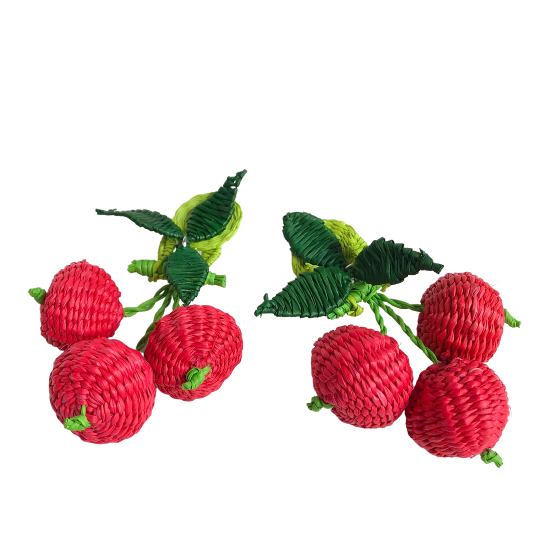 Iraca Woven Fruta & Leaf Bloom Stud Earrings - Large