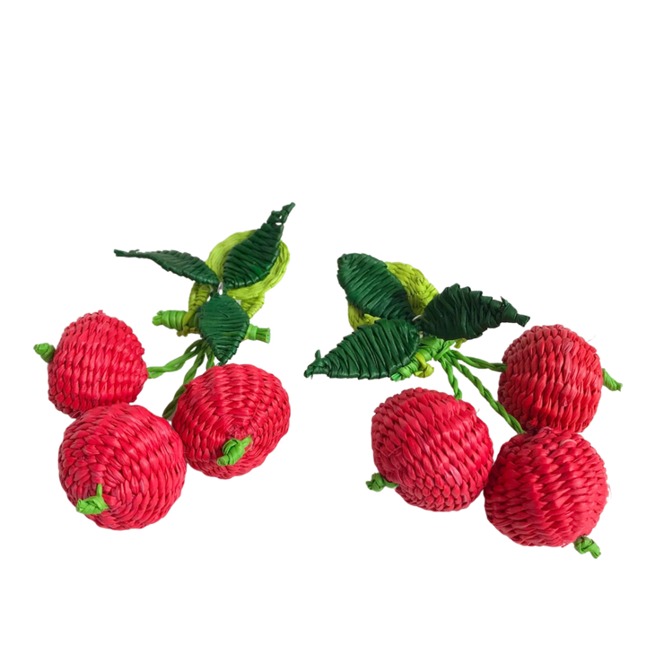 Iraca Woven Fruta & Leaf Bloom Stud Earrings - Large