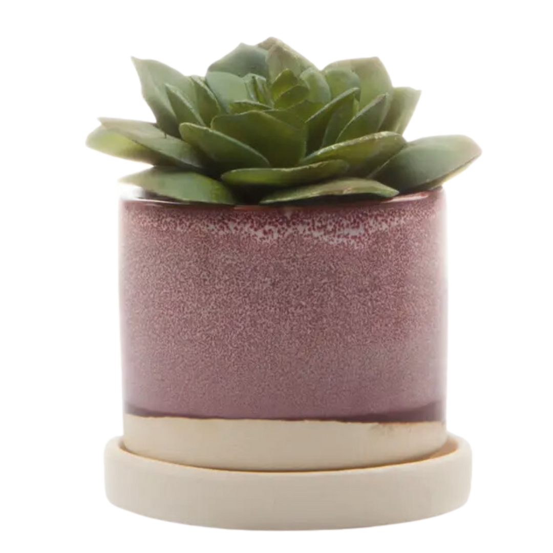 Minute Planter Pot & Saucer