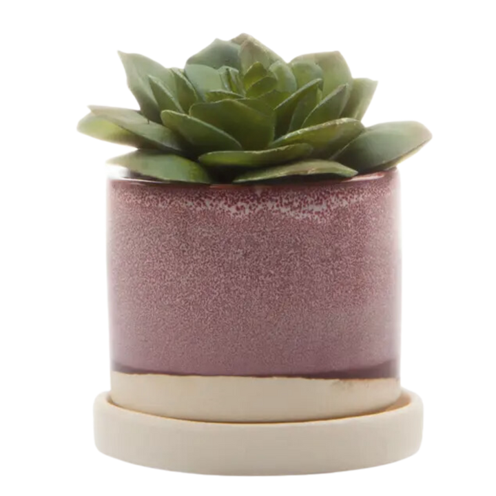 Minute Planter Pot & Saucer