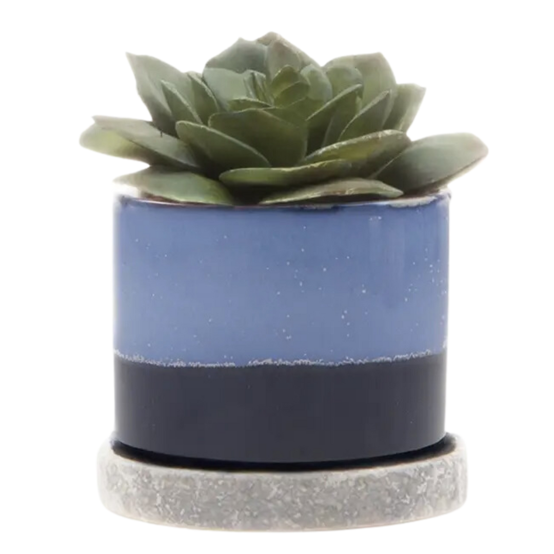 Minute Planter Pot & Saucer