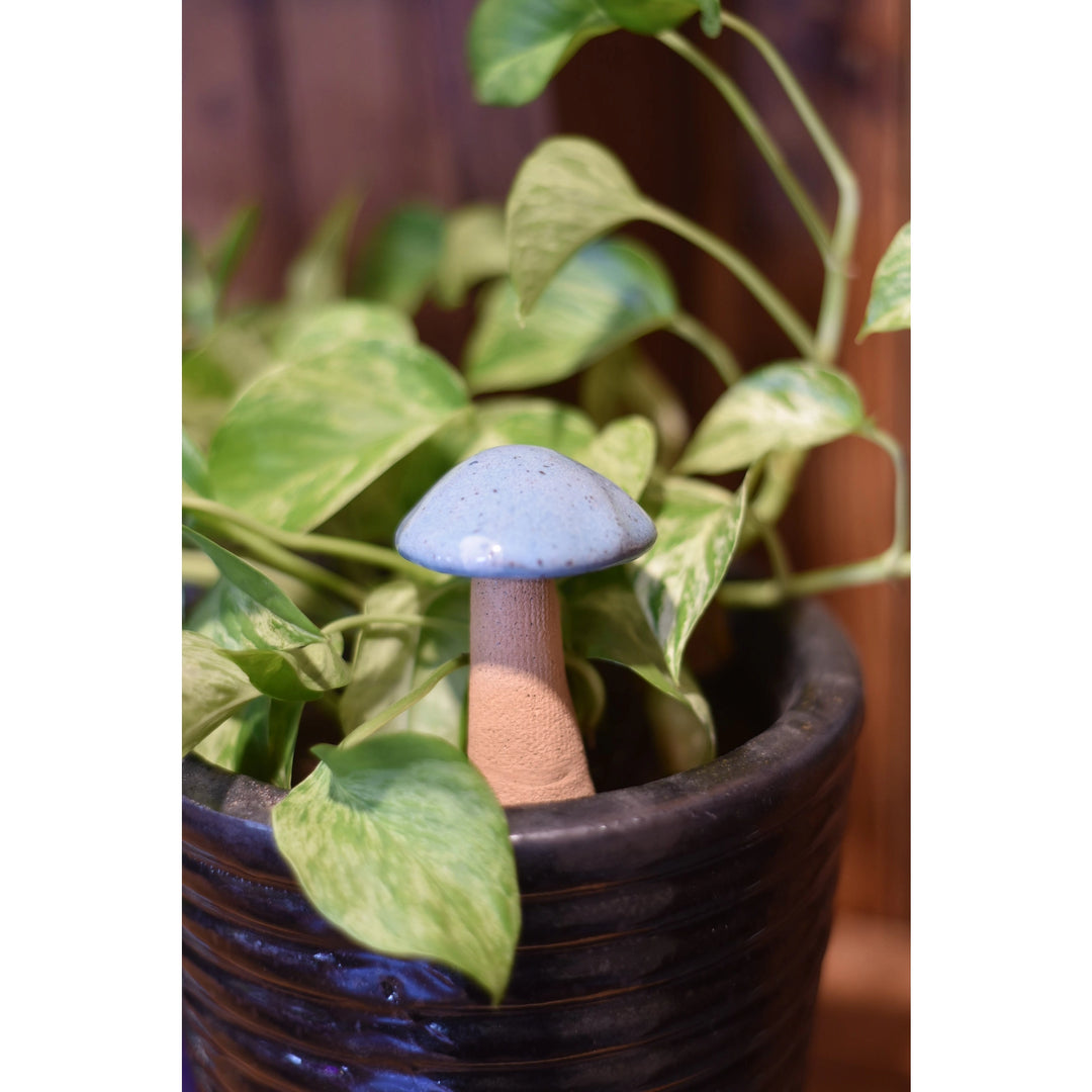 Whimsy Mushrooms - 3-5"