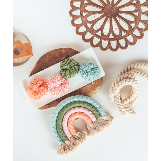 DIY Rainbow Kit - Succulent
