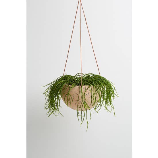 Dome Hanging Planter