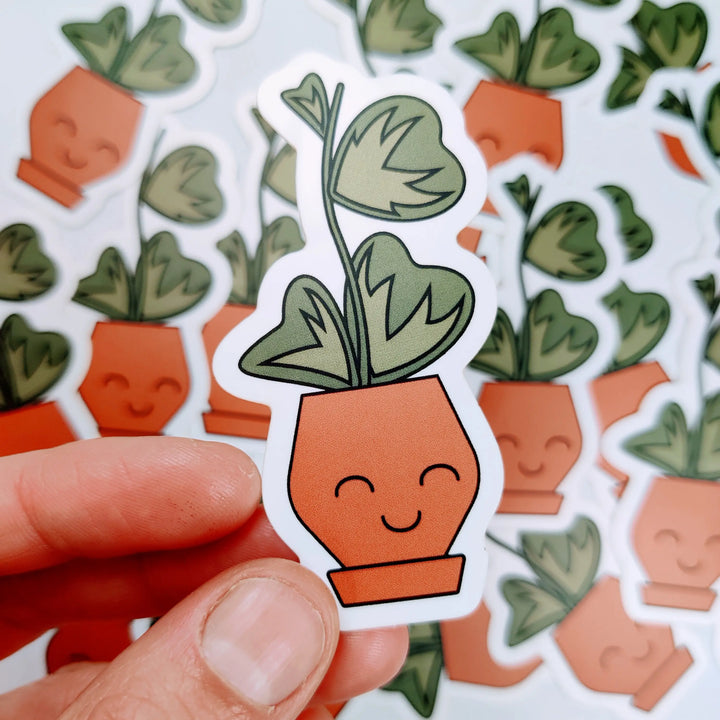 Hoya Kerii Vinyl Sticker
