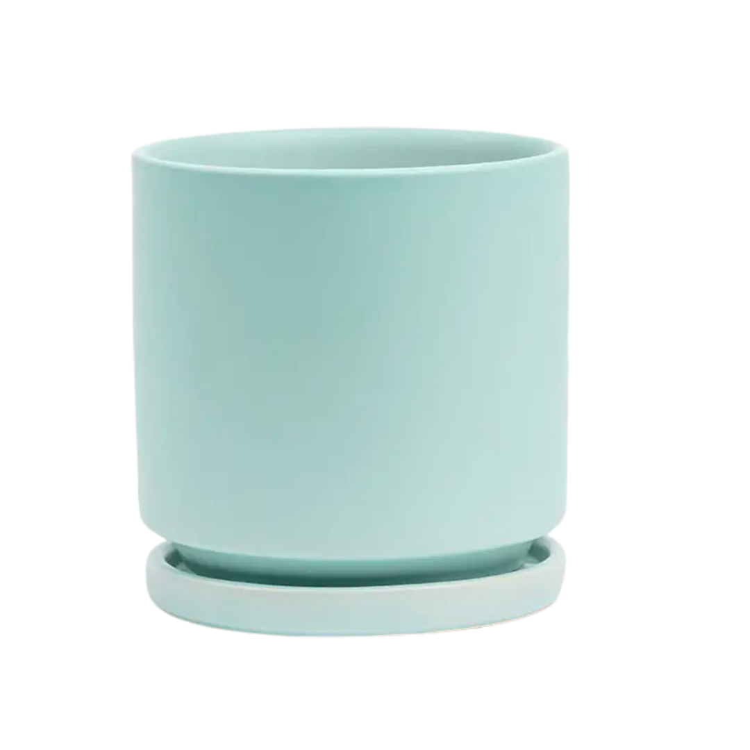 4.5" Gemstone Cylinder Pots with Water Tray