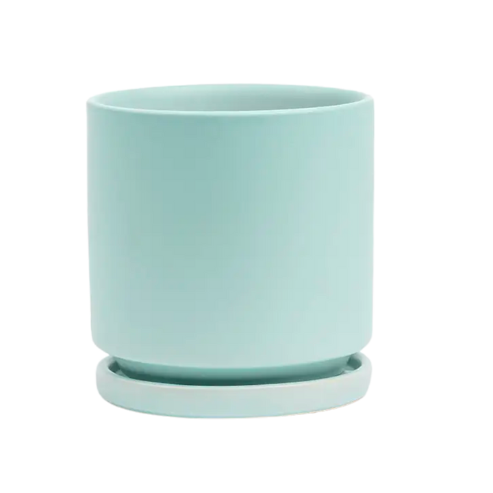 4.5" Gemstone Cylinder Pots with Water Tray