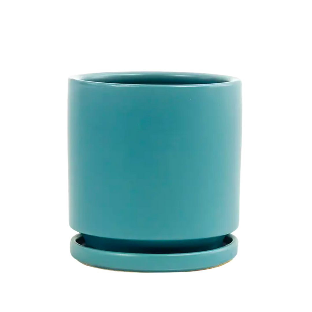 4.5" Gemstone Cylinder Pots with Water Tray