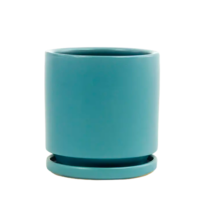 4.5" Gemstone Cylinder Pots with Water Tray