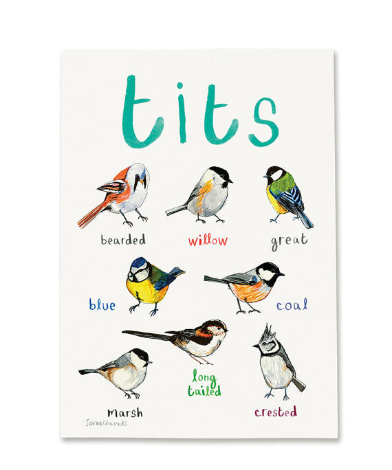 Tits A4 Art Print