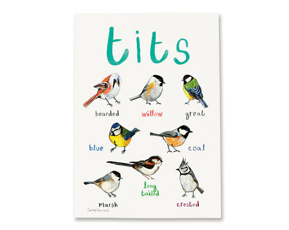 Tits A4 Art Print