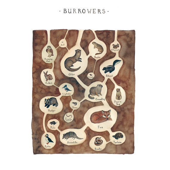Burrowing Animals 13x19 Print