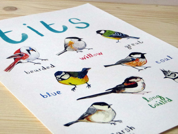 Tits A4 Art Print