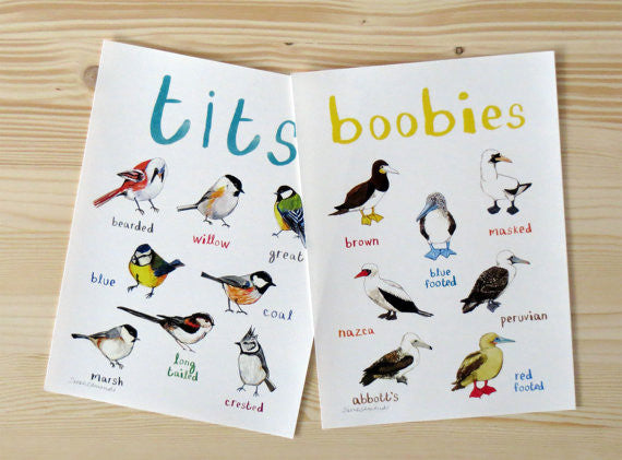 Boobies A3 Art Print