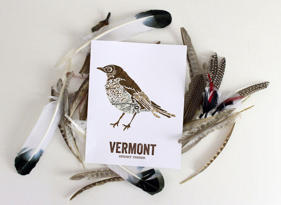 Vermont State Bird 16x20 Art Print