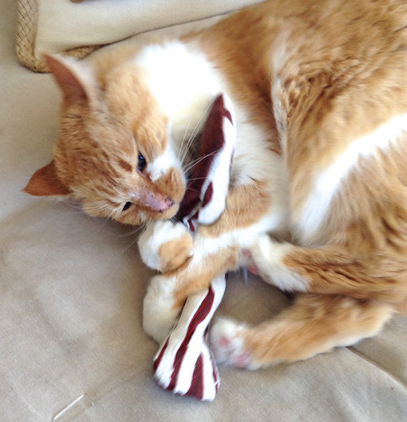 Extra Crispy Bacon Catnip Toy