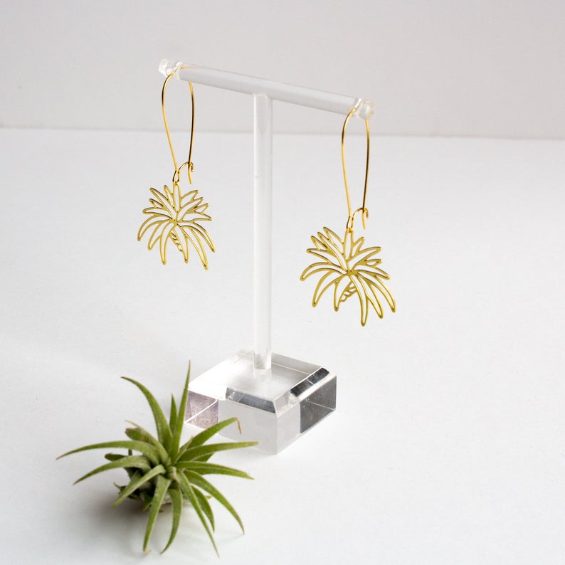 Air Plant Earrings | Style 1