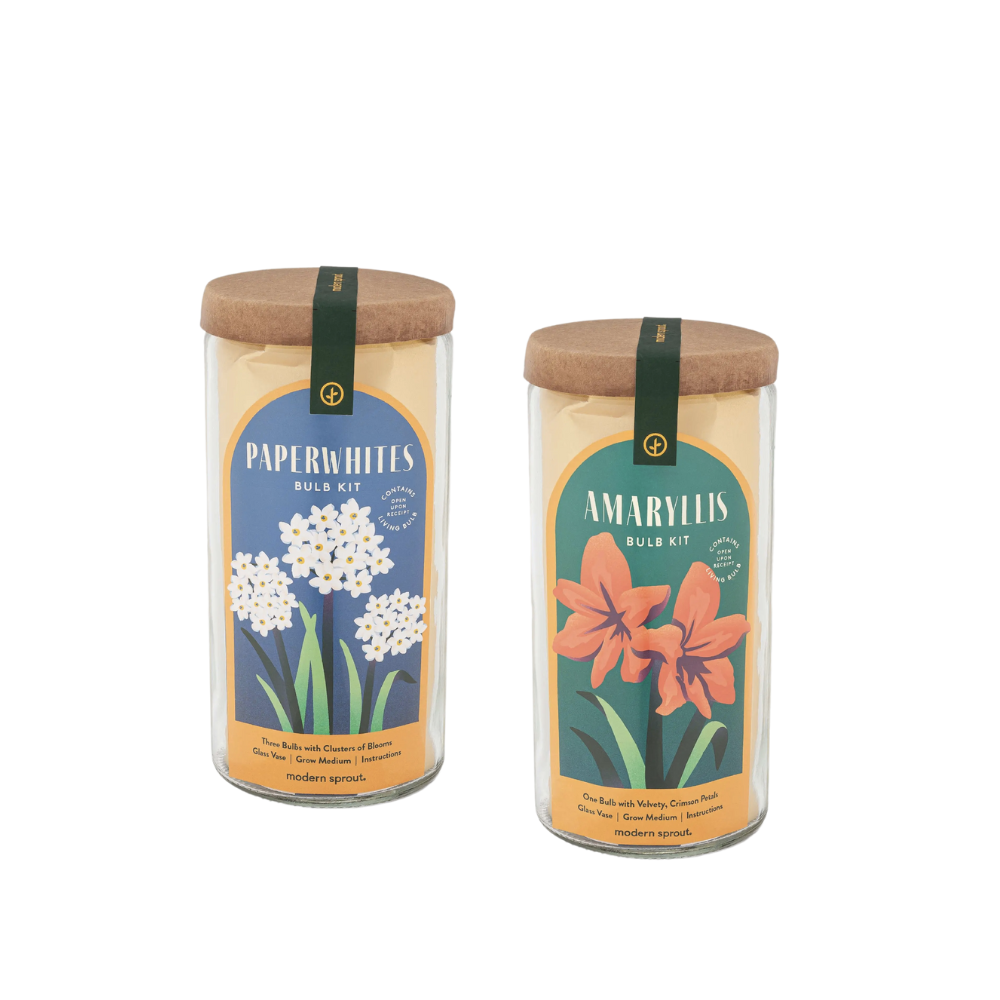 Winter Bulb Kit