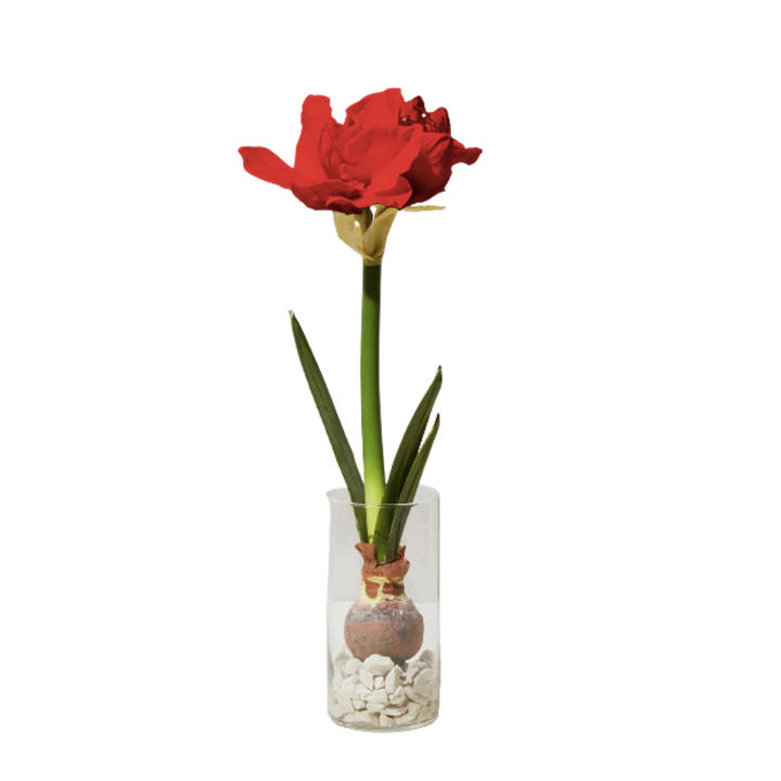 Winter Bulb Kit