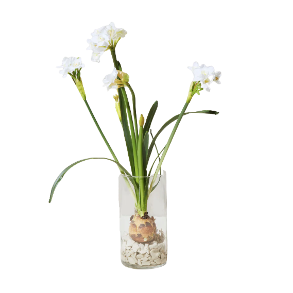 Winter Bulb Kit
