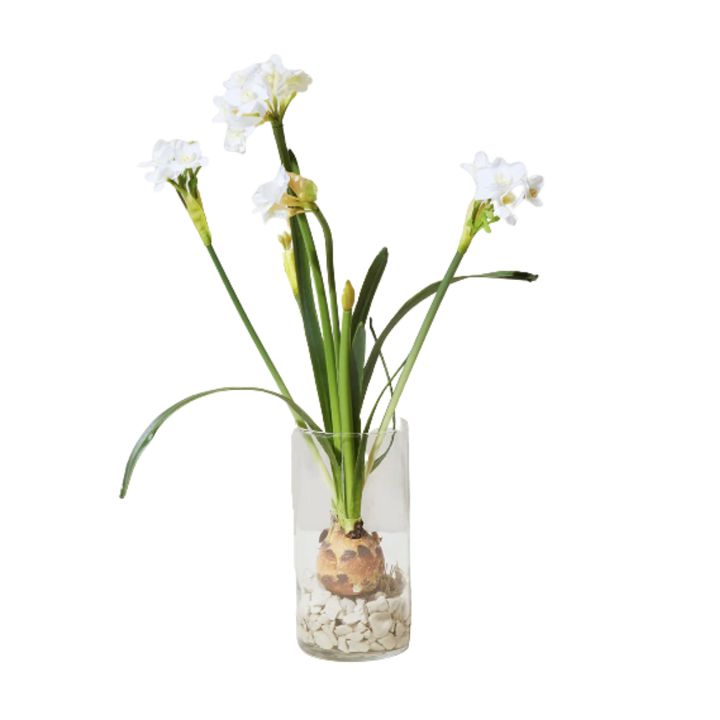 Winter Bulb Kit
