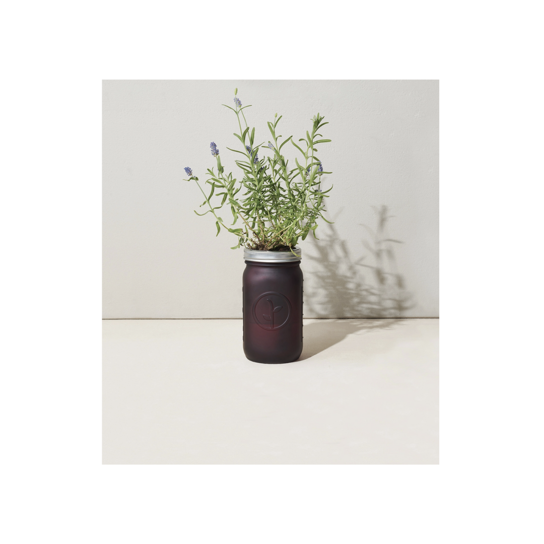 Garden Jar-Lavender