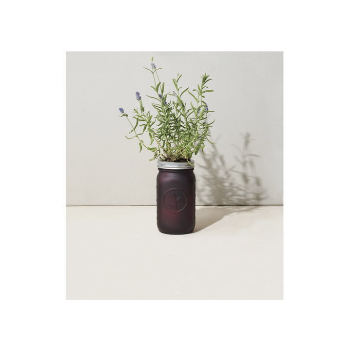 Garden Jar-Lavender