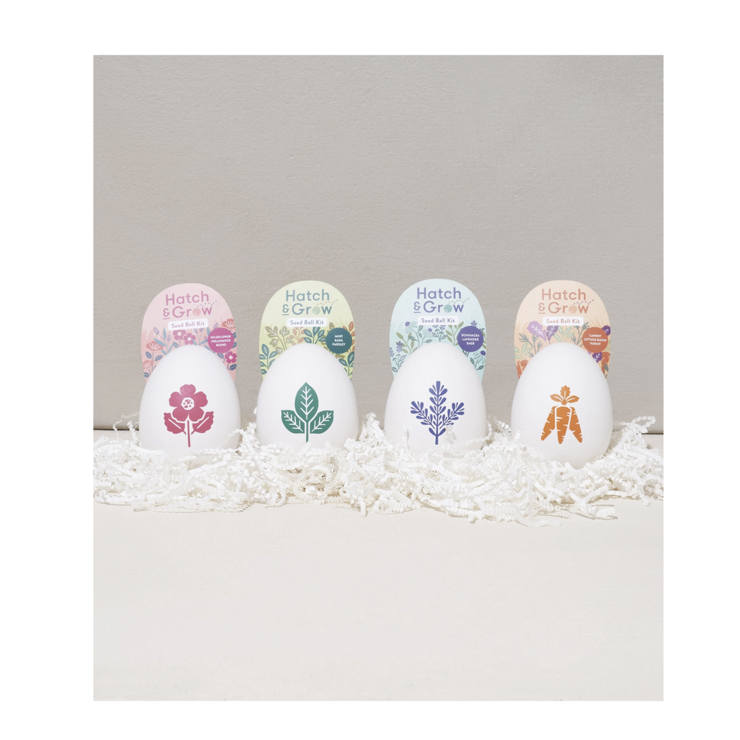 Hatch & Grow Seed Kit