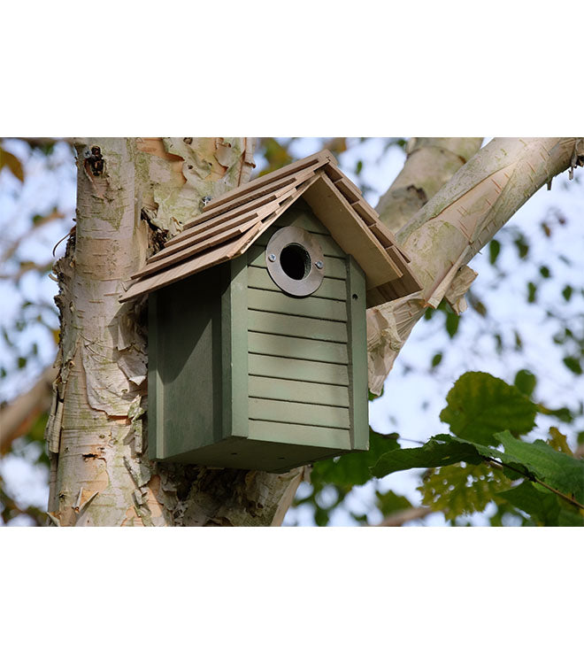 New England Nest Box Bird House