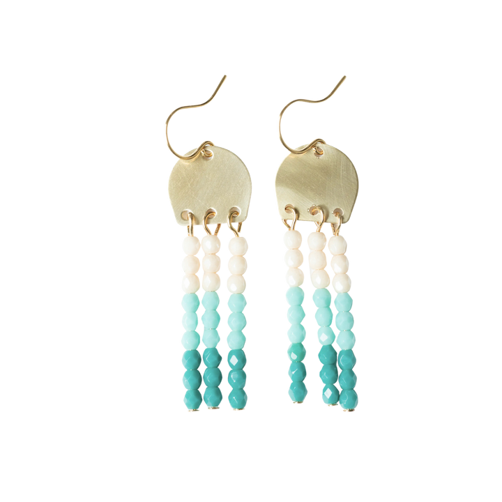 Ombré Fringe Earrings