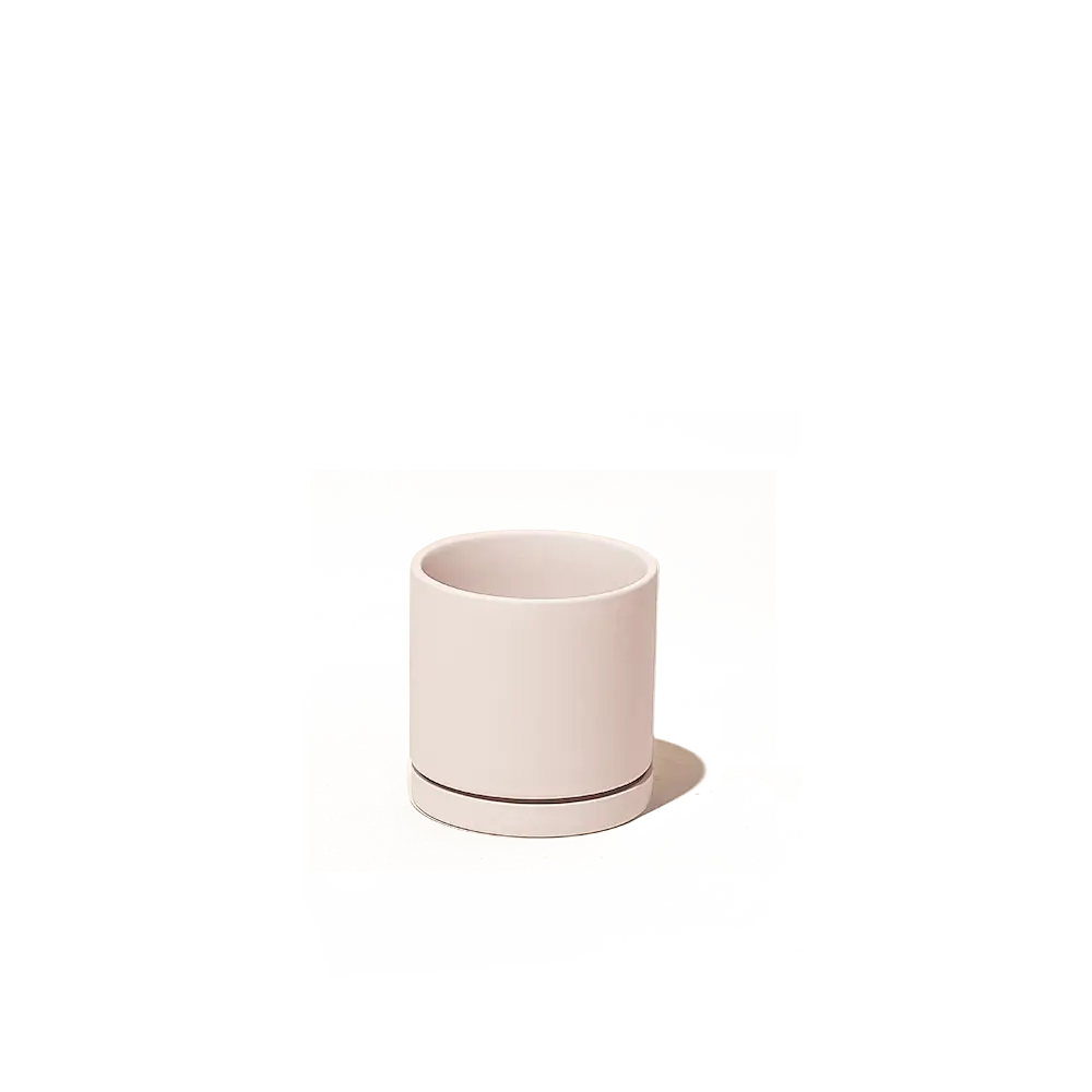 Dojo Pot and Saucer - 3.5"