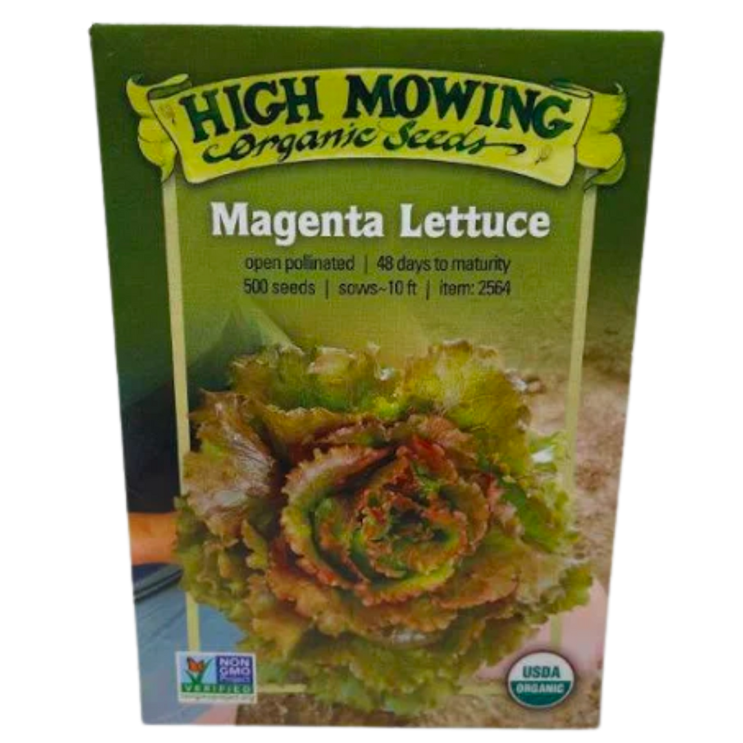Magenta Lettuce: 500 Seeds