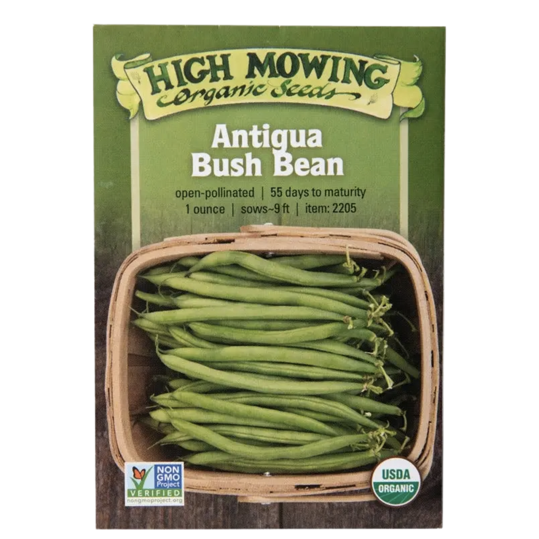 Antigua Bush Bean: 1 ounce