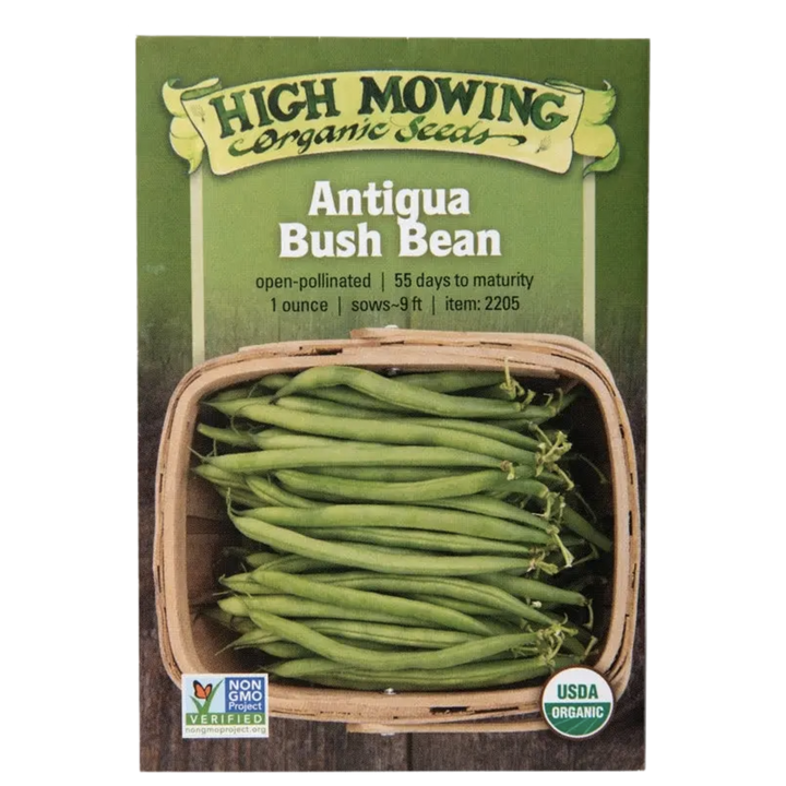 Antigua Bush Bean: 1 ounce