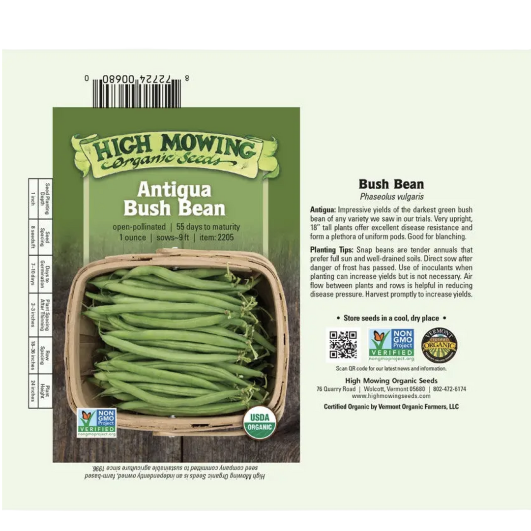 Antigua Bush Bean: 1 ounce