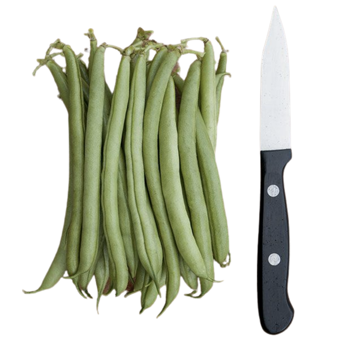 Provider Bush Bean: 1 ounce