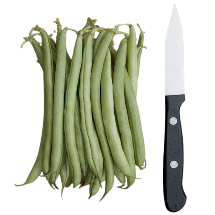 Provider Bush Bean: 1 ounce
