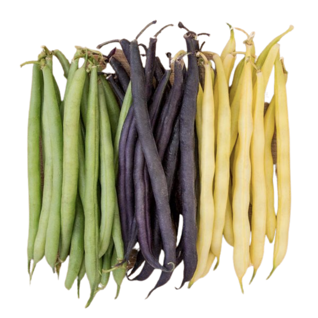 Mardi Gras Bean Blend 1 ounce
