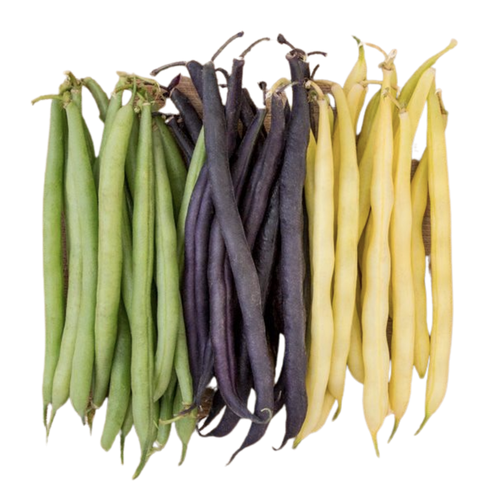 Mardi Gras Bean Blend 1 ounce