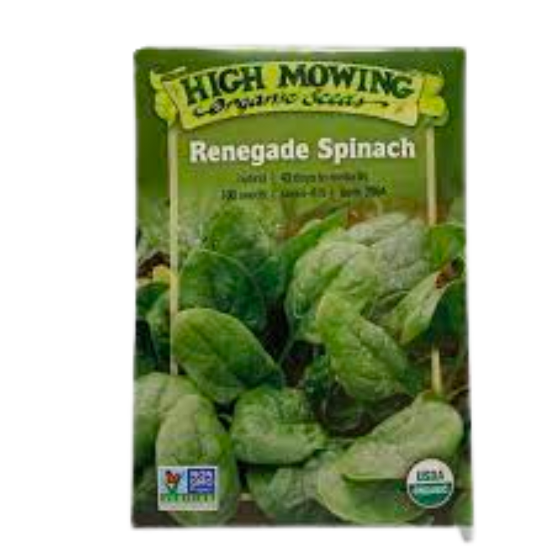 Renegade F1 Spinach: 100 SEEDS