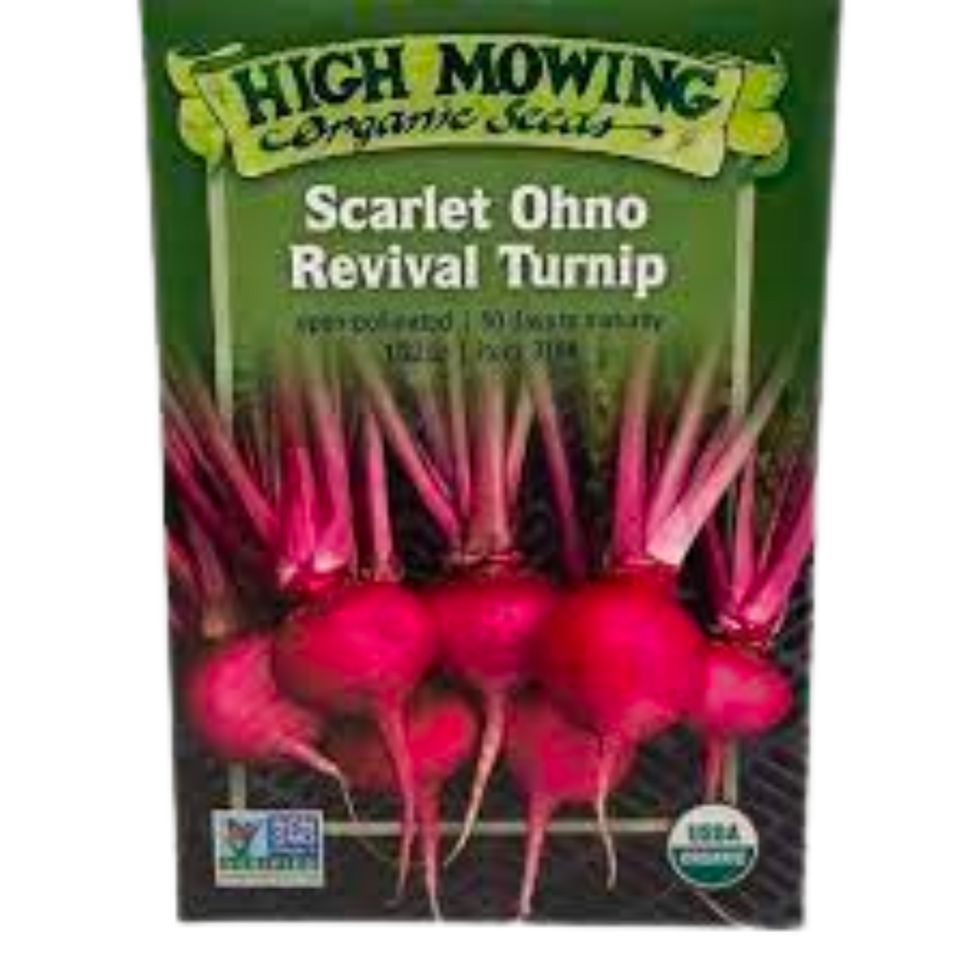 Scarlet Ohno Revival Turnip: 1/32 OZ