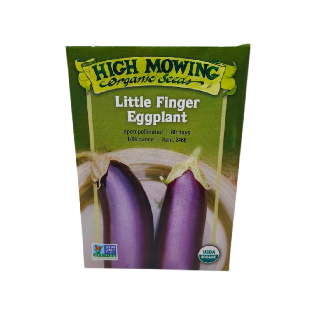 Black Beauty Eggplant: 1/64 oz.