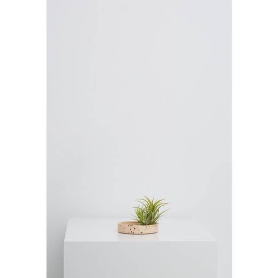 Small Terrazzo Tray